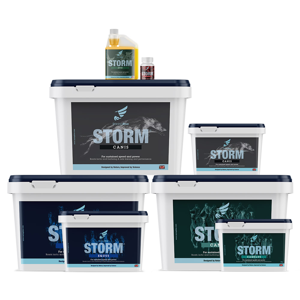 Performance Horse Supplements Animal Supplements Racing Blue STORM