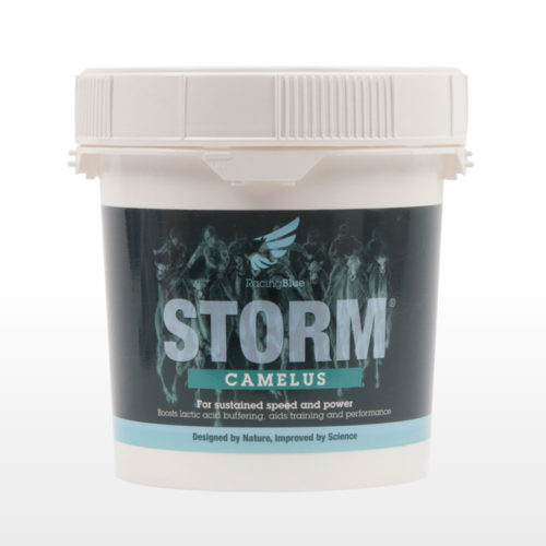 STORM Camelus performance supplement