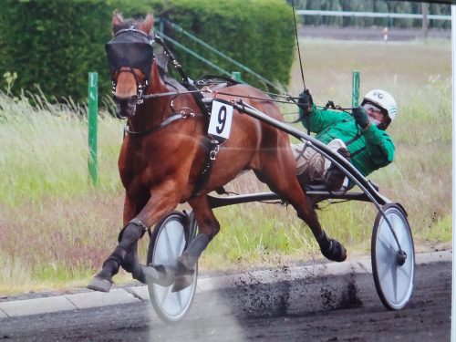 Betti Michielsen Trotting Racing