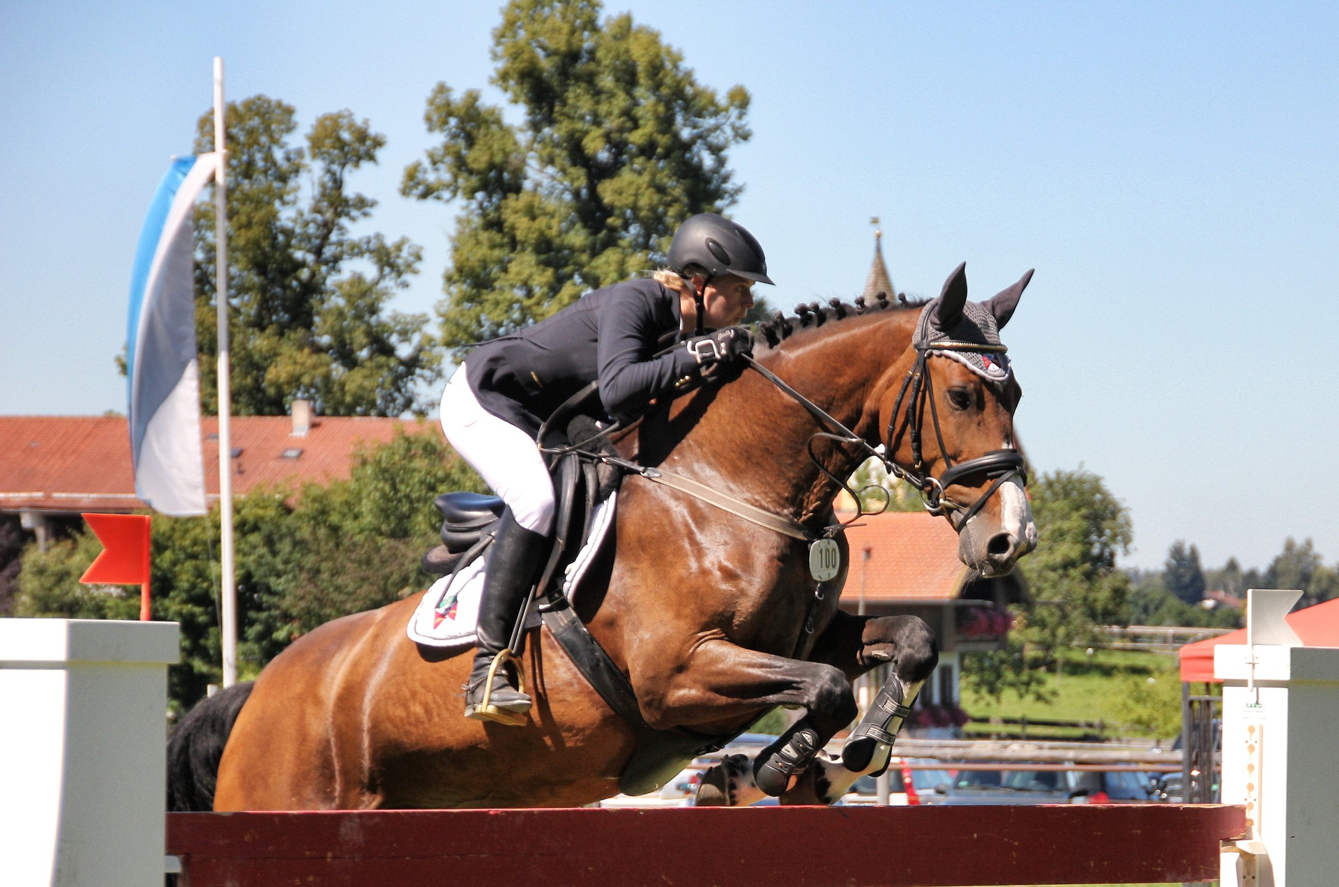 High Level Rider Riders As Athletes From A Nutritional Perspective - Racing Blue Storm