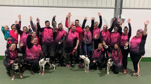 Top Flyball Team Tails We Win become STORM Advocates